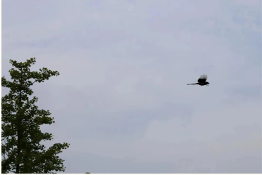 1713062933680234.png image.png