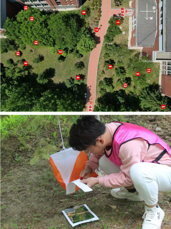 1713063276730281.png image.png